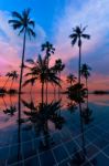 Tall Coconut Palm Trees At Twilight Sky Reflected In Water Stock Photo