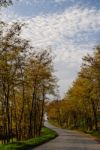 Fall Colors In Nature Stock Photo