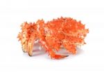 Alaskan King Crab In Isolated White Background Stock Photo