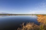 Spring Countryside Lake Landscape Stock Photo