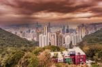 Aerial View At The Downtown  City Of Hong Kong Stock Photo