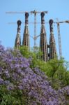 La Sagrada Familia  In Barcelona Stock Photo