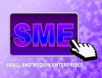 Sme Button Indicates Web Site And Business Stock Photo