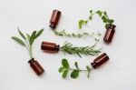 Top View, Bottle Of Essential Oil With Herbs Stock Photo