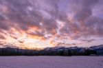 Snowy Mornings Stock Photo