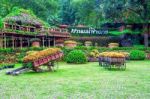 Garden Flowers, Mae Fah Luang Garden Locate On Doi Tung In Chiang Rai,thailand Stock Photo