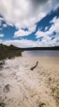 Brown Lake On Stradbroke Island, Queensland Stock Photo