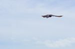 Pigeon Flies In The Blue Sky In A Sunny Day Stock Photo