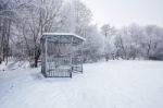 Winter Day In The Central Park Stock Photo