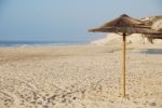 Beach Scene With Coconuts Area Stock Photo