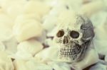 Still Life Of Human Skull With Candy Stock Photo