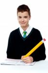 School Boy Writing On Notebook Stock Photo