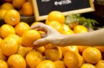 Hand Holding Orange Stock Photo