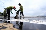 Thailand-environment-oil-pollution Stock Photo