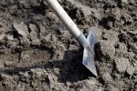 Gardening Stock Photo