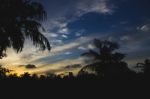 Sunset Behind Silhouettes Of Palm Trees Stock Photo