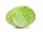 Cabbage Isolated On The White Background Stock Photo