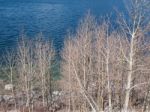 Beautiful Lake, Snow Mountain And Pine Tree Stock Photo