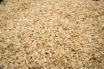 Whole Grain Japanese Rice Stock Photo