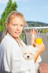 Morning Juice On Terrace With Dog Stock Photo