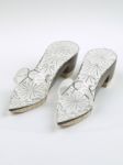 Silver Slippers Stock Photo