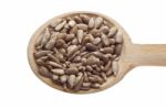 Sunflower Seeds On Wooden Spoon Stock Photo