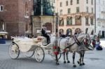 Carriage And Horses In Krakow Stock Photo