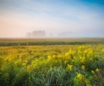 Foggy Spring Morning Stock Photo