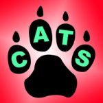 Cats Paw Shows Pet Services And Feline Stock Photo