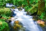 Small Waterfall With Fern And Rocks Located In Doi Inthanon Stock Photo