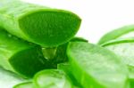 Slice Aloe Vera With Water Drop Stock Photo