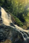 Kondalilla Falls In Kondalilla Falls National Park Stock Photo