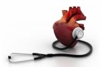 Human Heart And Stethoscope Stock Photo