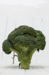 Broccoli Vegetable Isolated On White Stock Photo