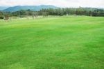 Lawn With Mountain Background Stock Photo