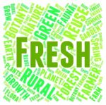 Fresh Word Showing Text Freshest And Natural Stock Photo