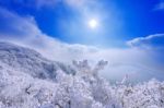 Deogyusan Mountains Is Covered By Snow And Morning Fog In Winter,south Korea Stock Photo