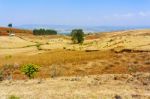 Farmland Landscape In Ethiopia Stock Photo