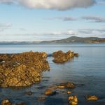 Beautiful View Of Rocky Cape, Tasmania Stock Photo