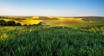 Morning At Green And Yellow Spring Fields Stock Photo