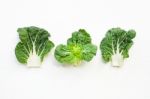 Bok Choy On White Background Stock Photo