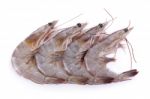 Shrimp Isolated On White Background Stock Photo