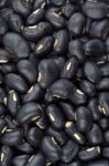 Black Beans Stock Photo