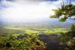 Rice Field And Mountain Stock Photo