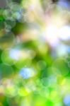 Abstract Spring Green Background And Light Reflect Stock Photo