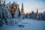 Wintertime In Sweden Stock Photo