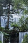 Russel Falls In Mount Field National Park Stock Photo