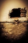 Human Skull On Breaking Concrete Wall In Abandoned House Stock Photo