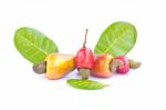 Cashew Nut Fruit Stock Photo