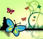 Field Of Butterflies Represents Grassland And Environment Stock Photo